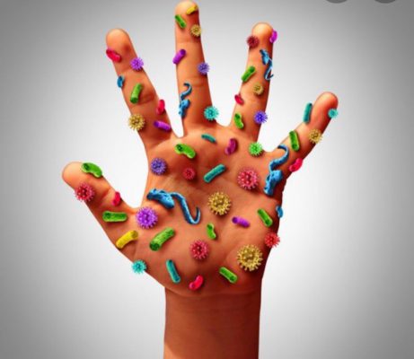 Bàn tay là nơi trú ngụ của nhiều vi khuẩn gây hại