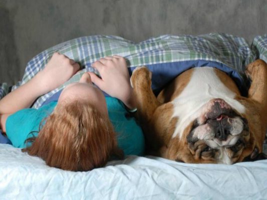 động vật gây mùi hôi phòng ngủ