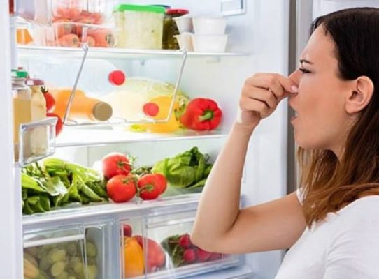 Tủ lạnh sẽ là nơi trú ngụ của vi khuẩn nếu chúng ta không sử dụng đúng cách